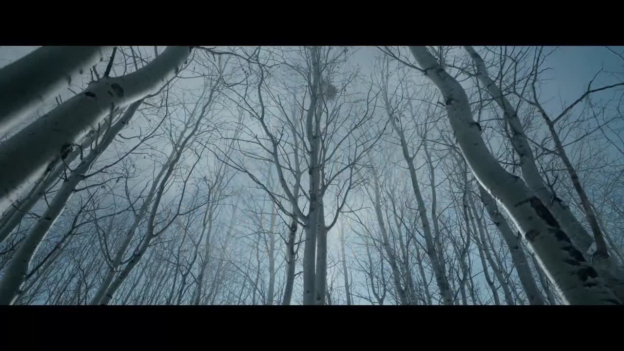 "The Revenant" (Iñarritu, 2016) : analyse cinématographique (thème : Nature et Culture)