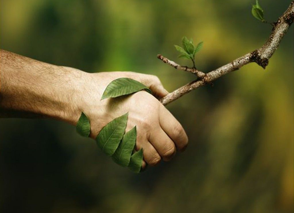 La Nature (cours)