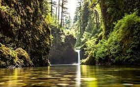 "La Nature est-elle un mythe ?"
