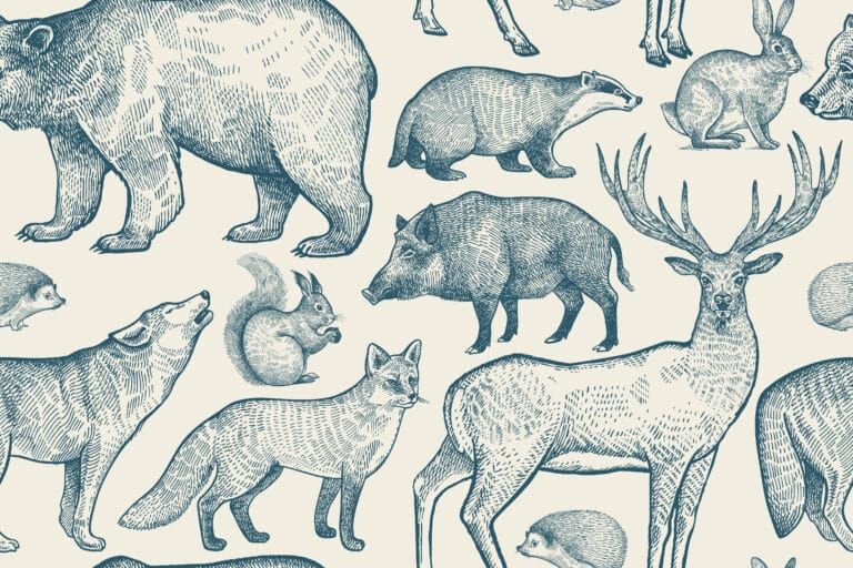 Les animaux ont-ils des droits ?